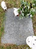 image of grave number 655002